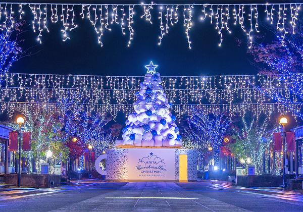 アリタ・マシュマロクリスマスとイマリ・キャンドルクリスマスと佐賀牛vs伊万里牛100g食べ比べ♬1